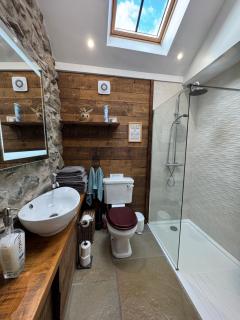 Snowdonia Barn Conversion - Llanwnda - 3