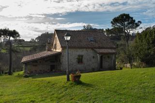 Casa Rural As Cobas - Castiñeiras - 1