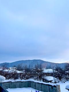 SS villa - Gabala - 4