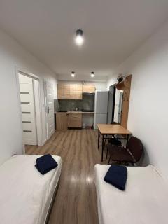 Apartamenty Ścinawa - Ścinawa - 2