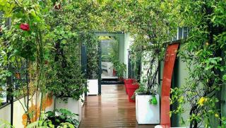 Jasmine Garden - Milan - 0