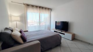 Elegant Apartment with Private Pool, Parking & 5min to beach - Antibes - 3