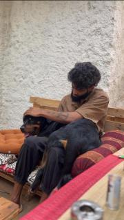 HOT - HOUSE OF TRAVELLERS, Vagator - Vagator - 6