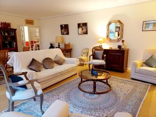 Splendide appartement soleil terrasse - Sceaux - 9