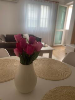 Apartman Sofija - 8