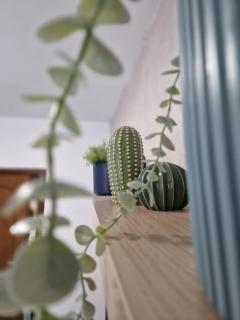 Znc Holiday House - 3