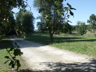 Aux Blanches Pierres - 5