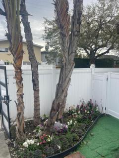 West LA Chariton - Los Angeles - 5