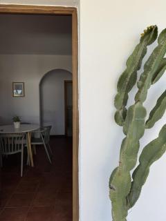 Los jardines de Zahora C02 - Cádiz - 4