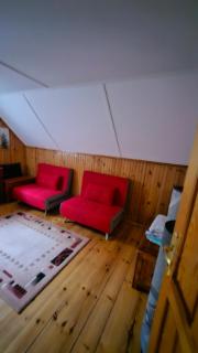 W Lesie Bory Tucholskie Mermet - Mermet - 1
