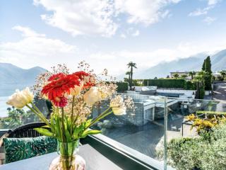 Apartment Junior Suite Modern-24 by Interhome - Ascona - 0