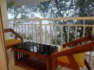 Aura Springs Resort - Anachal - 5