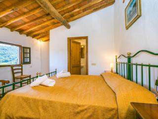 Apartment Colombaia by Interhome - Lucolena in Chianti - 6