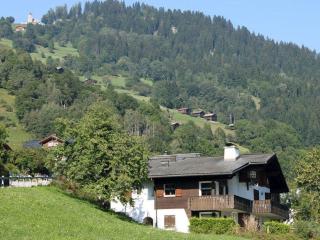 Apartment Muotta Sulegl 4 by Interhome - Schluein - 0