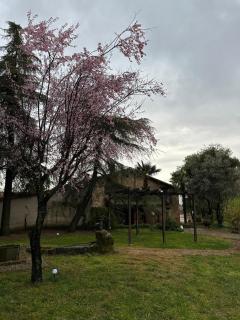 La Casona De Jaraiz - Jaraiz de la Vera - 8