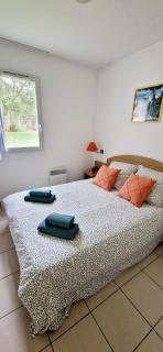 maison cosy avec piscine, tennis, piste cyclable - Ondres - 6