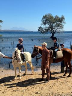 Camplung Beach Family Villa and Farmstead - 5