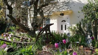 Ferienwohnung Palmengarten Bad Honnef - 0