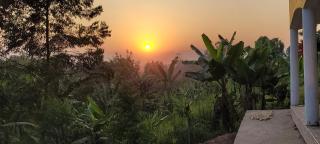 Kamengo Cottages - 1