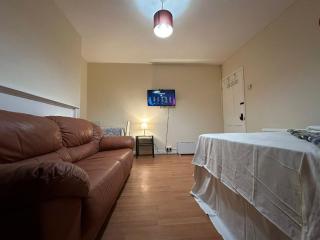 Spacious Flat - Sleeps 6 - Heart of London - Londra - 0