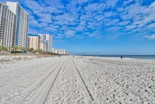 Unforgettable Beachfront Bliss! C1605 - Myrtle Beach - 9