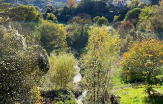 Lovely Apartment In Barjols With Wifi - Barjols - 1