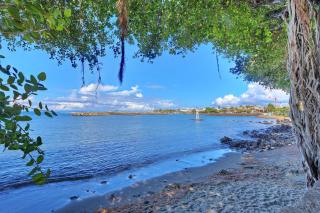 Les Banians - Terre Sainte - 6