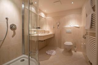 Hotel Alpenblick Zillertal - Hippach - 8