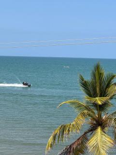 Palmarena - Puerto Viejo - 7