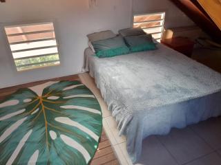 appartement 1 chambre plus mezzanine pour 2 à 4 personnes séjour minimun 2 nuits - 1