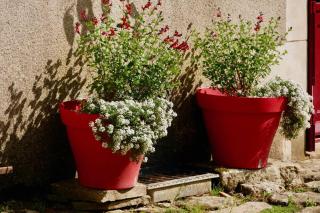 Gîte lépicerie de madeleine - 8