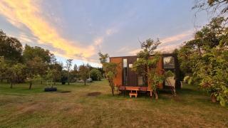 Applewood Cabin 2 by Tiny Away - Christchurch - 0