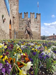 BorgoAntico Affittacamere - Soave - 9