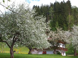 Gemütliches Ferienhaus In Hart Im Zillertal - Hart im Zillertal - 0