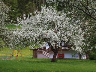 Gemütliches Ferienhaus In Hart Im Zillertal - Hart im Zillertal - 9