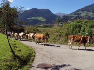 Gemütliches Ferienhaus In Hart Im Zillertal - Hart im Zillertal - 4