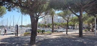 Carnon plage Agréable F2 loggia vue port parking - Carnon-Plage - 2