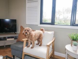 Holm Oaks Cottage - Godalming - 1