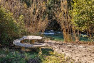Villa Health - Tourrettes-sur-Loup - 5