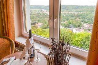 Berghotel Wilhelmsburg - 5