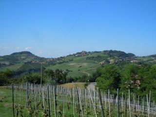 Da Ivana e Valter - Monforte dʼAlba - 7