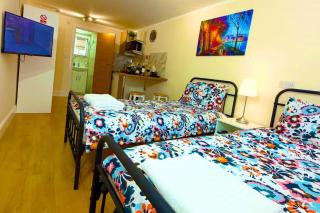 2 bed Studio-Free Parking-Pet Friendly-Garden - Londra - 2