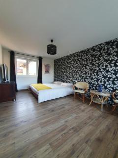 Grande maison proche Colmar - Niederhergheim - 8