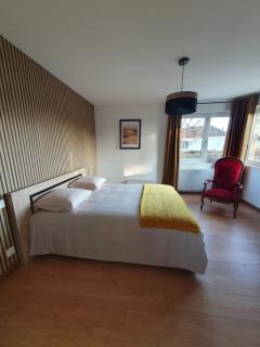 Grande maison proche Colmar - Niederhergheim - 7