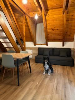 Apartamentos La Solana - Pla de l'Ermita - 5