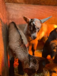 Cascina Bagaggera - 1