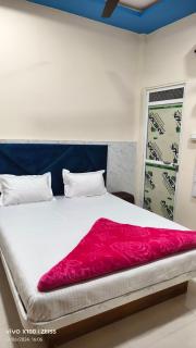 Hotel lakshmi palace - 2