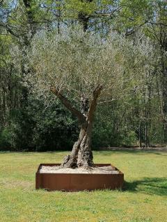 maison bois - 7