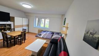 AC 2 room apartment, Sancova 25 - Staré Mesto - 5
