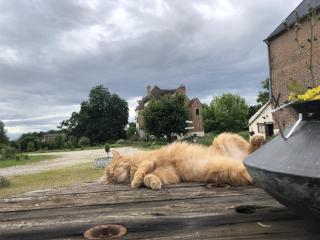 Vieux château Saint-Claude - 4